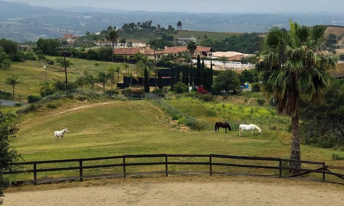 Fallbrook Bed & Breakfast | 5-bedroom bed & breakfast in awesome Fallbrook with WiFi