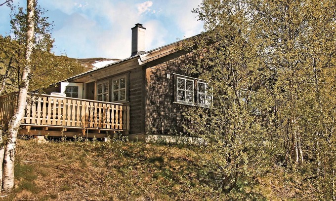 Hol Municipality House | 5 bedroom gorgeous home in Geilo