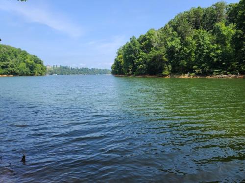 Morristown House | 5 Cubs Lakehouse