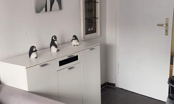 Detmold Apartment | 50sqm parking at the house wifi terrace