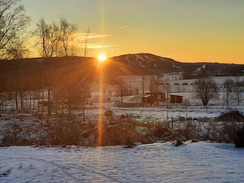Borlange Municipality Cabin | 55 m² Lodge ∙ 6 guests