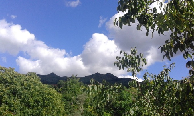 Varzea da Ovelha e Aliviada House | 55 minutes from Porto! Quiet house farm in the mountains! Amarante!