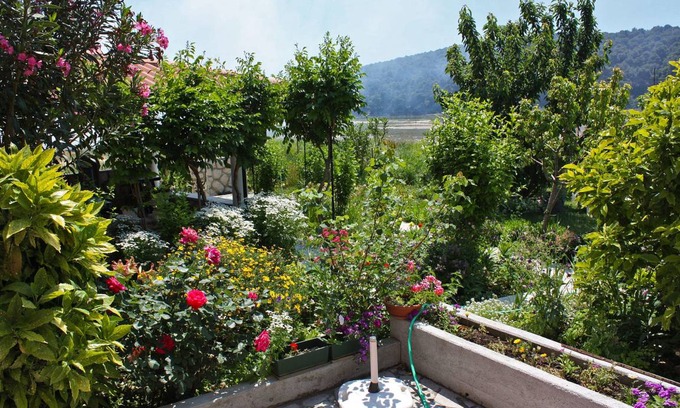 Suha Punta Apartment | 59 m² Apartment ∙ 1 bedroom ∙ 2 guests