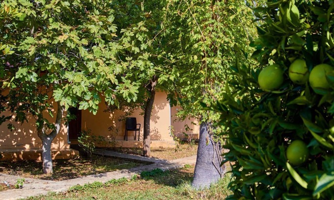 Adrasan House | 7 Garden Bungalow & Camping