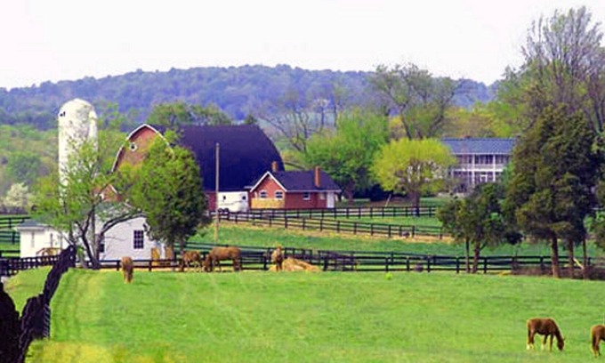 Gordonsville House | 7 Homes, One 600-Acre Farm = Perfect For Wedding/Reunion/Big Family Gathering
