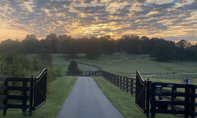Buechel Other | 80 acre Kentucky Horse Farm 6BR/4BA 30 mins. to Derby 10 mins. to PGA.