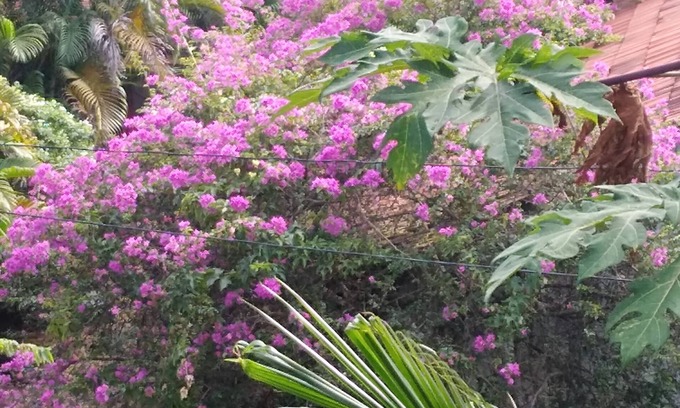 Mirissa House | A Best place to stay in mirissa.with kitchen facility
