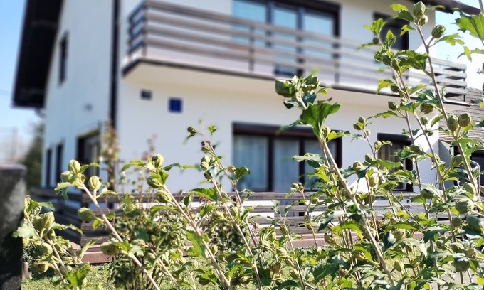 Koprivnica Apartment | A Big house