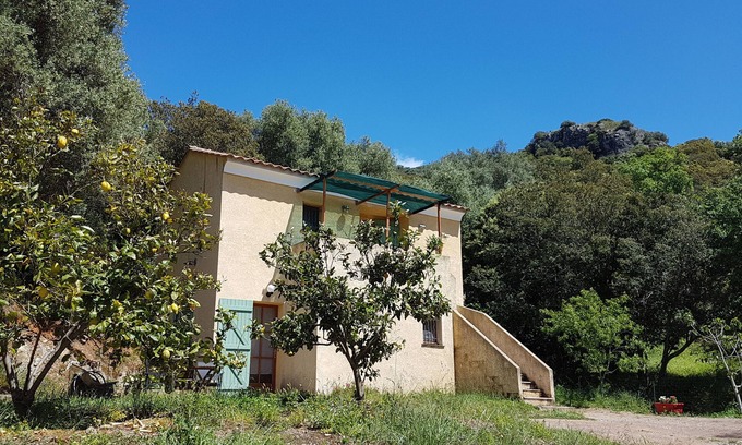 Patrimonio Bed & Breakfast | A Casa Di L'Alivu