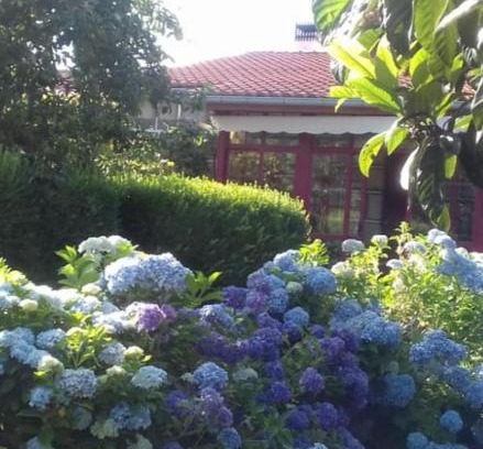 Ramiras House | A Casa do Buxo