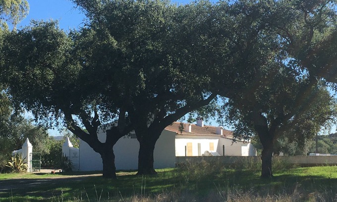 Viana do Alentejo House | A CHARMING HORTA IN THE HEART OF ALENTEJO