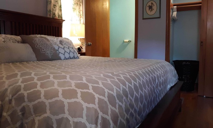 Dumbarton House | A Clean, Safe, House full of steel balls & vintage game consoles