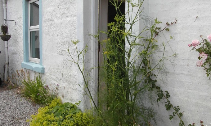 Carsethorn Cottage | A fabulous seaside cottage in an idyllic position with stunning views all around and a 5 minute walk