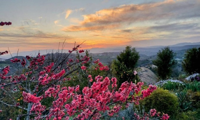 Temecula Other | A Gentleman Farmer's Dream with a View in Temecula