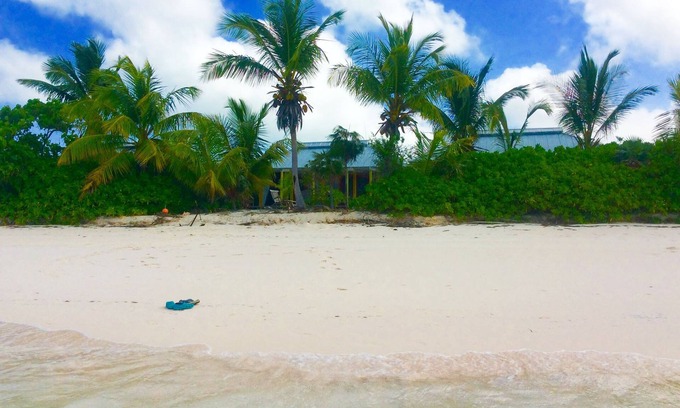 Orange Creek Cottage | A Home On The Beach For The Two Of You As Well As Your Kids And Your Pet