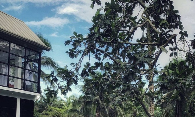 Tayabas City House | A House Lucban