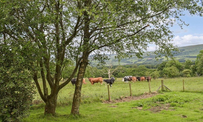 Kirkmichael Cottage | A perfect cottage to unwind after a day exploring.