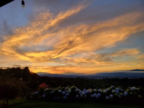 Naranjo Villa | A place to create dreams