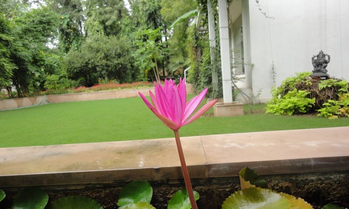 DLF Farms Villa | A Private Room In New Delhi's Luxurious Villa Home.