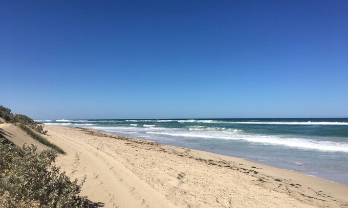 South Greenough Cabin | A quiet cottage