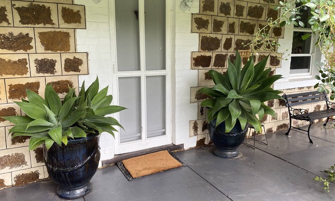 Back Valley Cottage | A secluded rural cottage in lovely gardens minutes from the beach