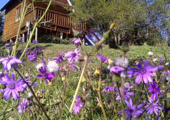 Grahamstown House | A Stone's Throw Accommodation