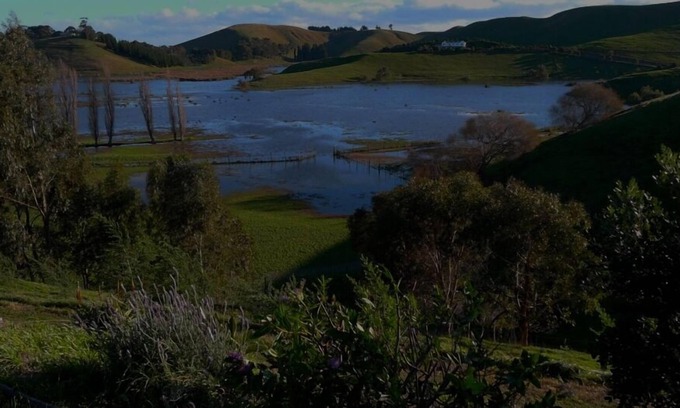 Puketapu House | A Touch of Country Close To Town -LangTree Cottage