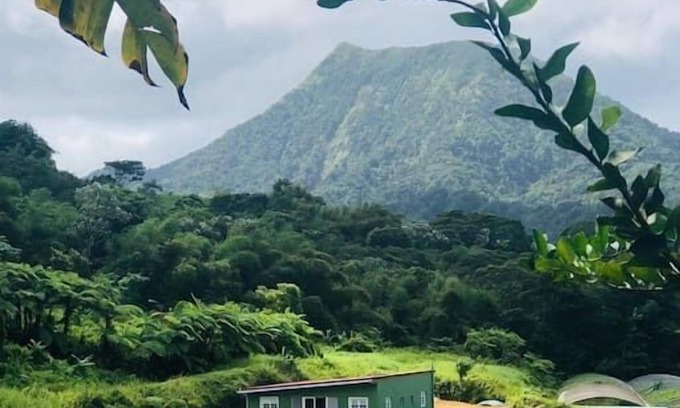 Le Morne-Rouge House | A ylang ylang room in the heart of nature