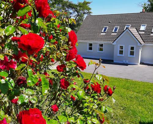 Hollywood House | Abhainn Ri Cottages