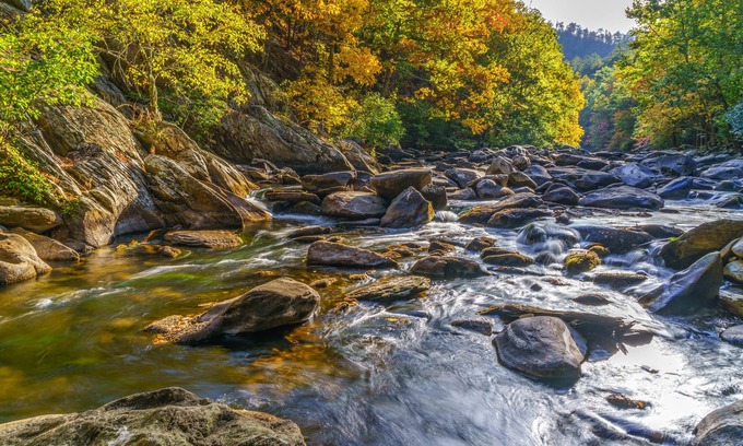 Rocky Grove Cabin | Abright Grove - Unit 2