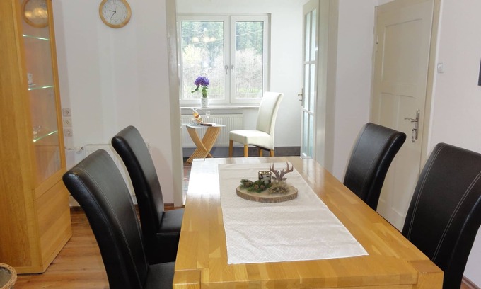 Mellenbach-Glasbach Condo | Absolutely quiet location, beautiful view, garden, charging station, table football, darts