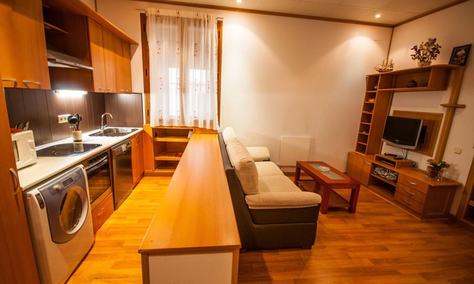 Plasencia Apartment | Acepta mascotas.