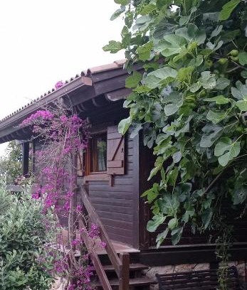 Campo Lameiro House | Acogedora cabaña con piscina