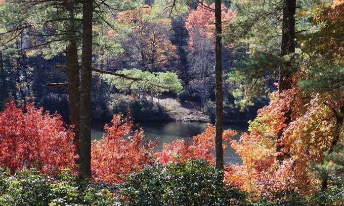 Lake Sequoyah House | Acorn Cabin - Close to Town