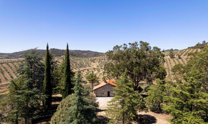 Vila Flor Ski Chalet | Acushla Original House Douro