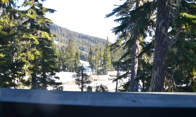Courtenay Ski Chalet | Adjust your altitude, Stay in Comfort, but Venture out of your comfort zone