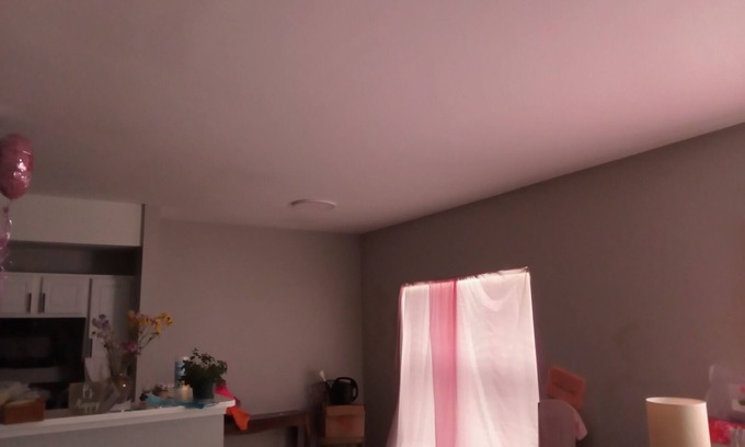 Overland Park Apartment | Adorable 1-bedroom apartment adorable