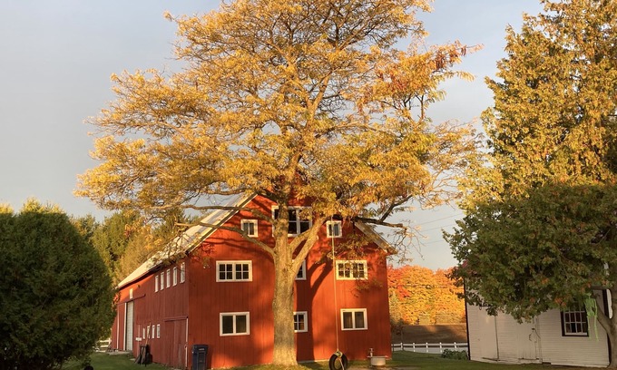 Traverse City Apartment | Adorable apartment close to Traverse City in a beautiful farm setting