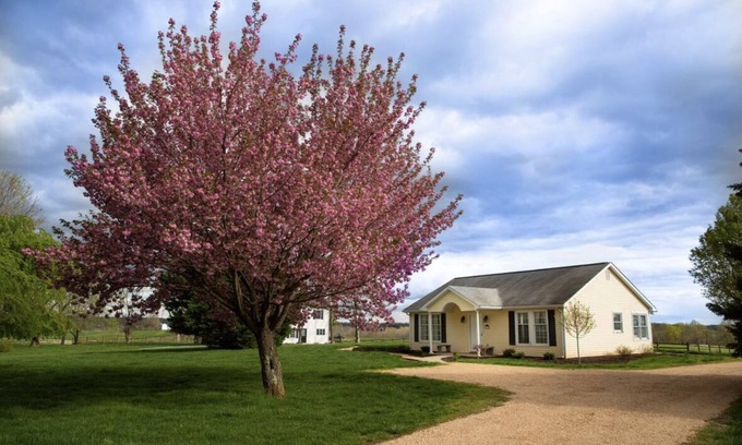 Forest Cottage | Adorable Manor Cottage on West Manor Estate in Forest, Virginia.