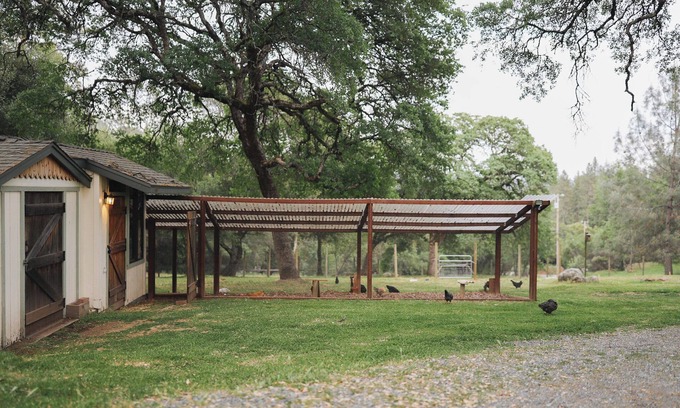 Cool Apartment | Adorable tiny home on a mini farm in Gold Country