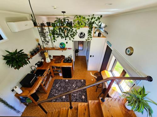 Hot Water Beach House | Adventurer's Chest - Taiwawe