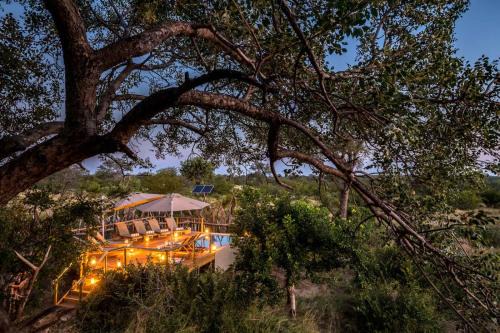 Thorny Bush Game Reserve Cabin | Africa on Foot