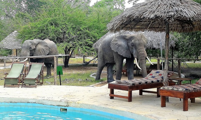 Selous Game Reserve Cabin | Africa Safari Selous