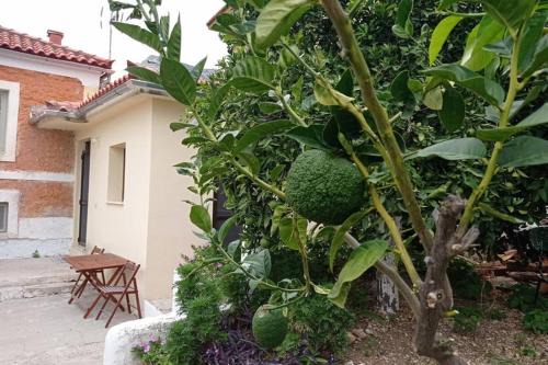 Leonidio Apartment | Afroditis's & Makis's apartment