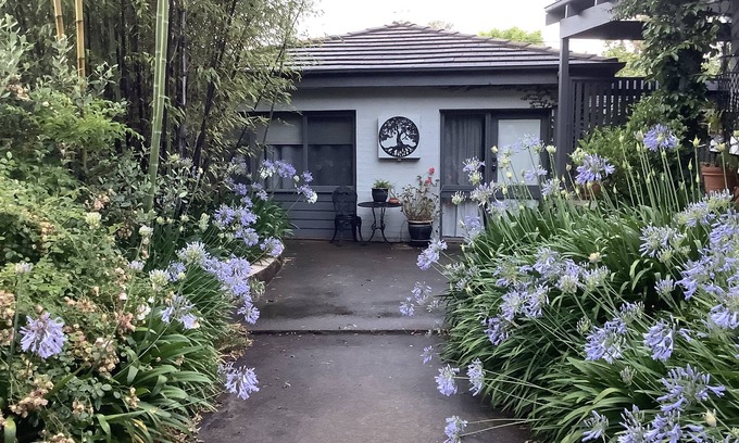Hawker Cottage | Agapantha Cottage - Country in the City, original artwork, wkly/mthly discounts