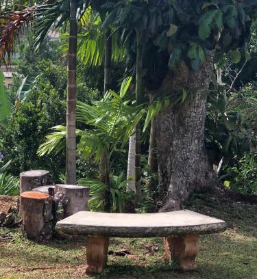 Mandeville Bed & Breakfast | Agapantha Cottage