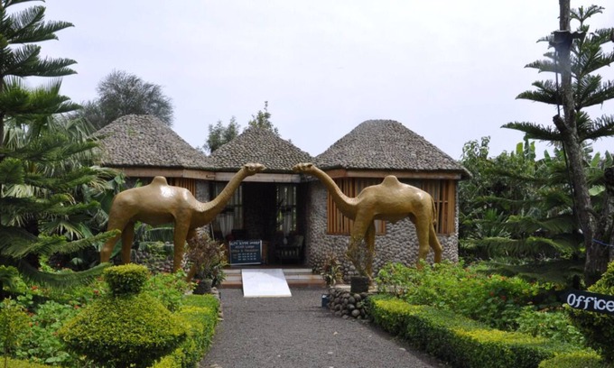 Bahir Dar Cabin | Agar Lodge
