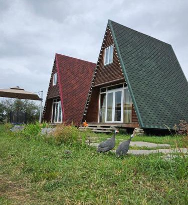 Armenia House | Agarak village resort