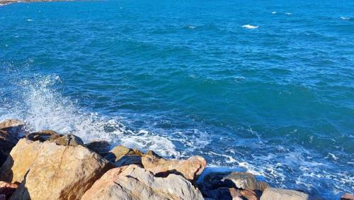 Saint-Cyprien Plage Apartment | Agréable appartement T2 avec loggia proche commerces et plage - 4ALB24