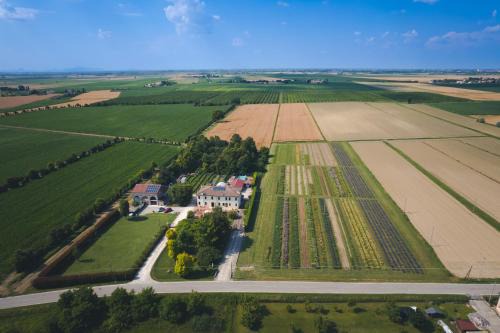 Bellombra Bed & Breakfast | AgriB&B Corte Burchio